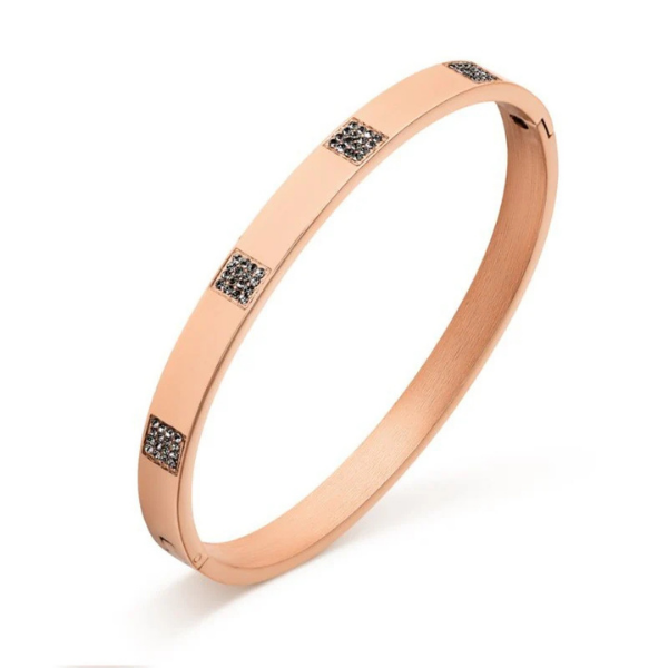 Bracciale Donna Pierre Ricaud PR161.9BZ