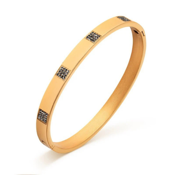 Bracciale Donna Pierre Ricaud PR161.1BZ